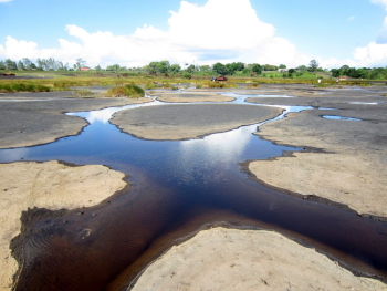 Asphalt La-Brea pit lake, Trinidad